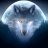 Alex_048