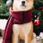 ccorgi