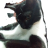 Alexo HD