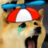 benszaj