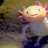 axolotl2098