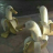 mrquackers_quack