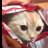 chips cat