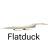 Flatduck