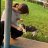 Aria_lb