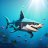 blockyshark