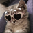 abboud_ahmad