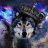 WolfNero17