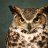 officialowly