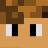 Aryy